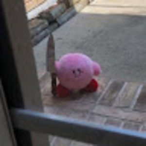 Meet your Posher, Ariel